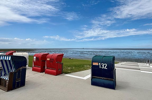 Strandkörbe am Trischendiek Strand in Friedrichskoog-Spitze